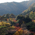 養老公園