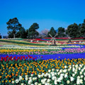 木曽三川公園